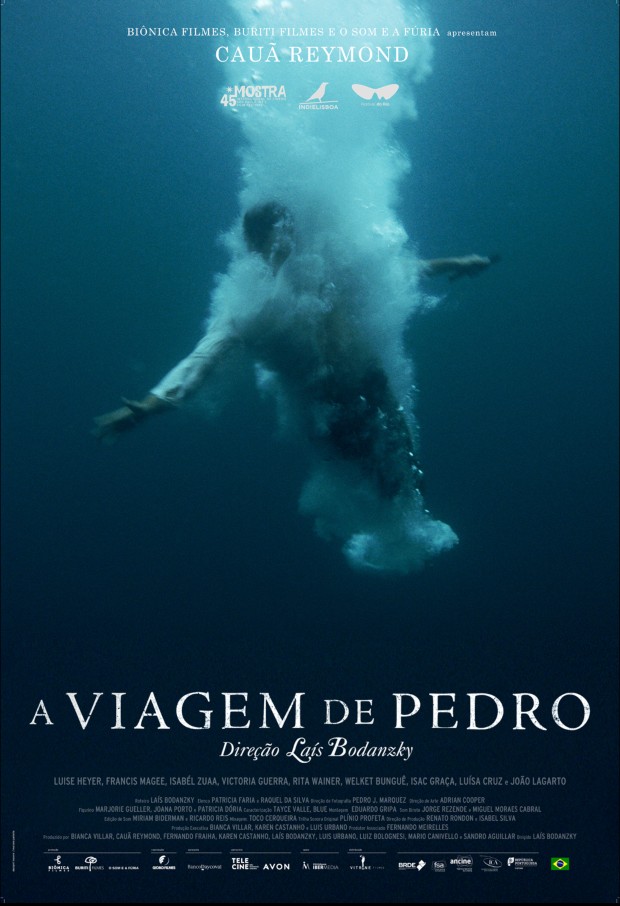 Cartaz do filme pré-selecionados para concorrer à indicação ao Oscar (Foto: Divulgação)