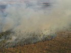 Bombeiros combatem 4 incêndios florestais nesta sexta-feira no DF