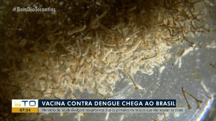 Municípios que receberão a vacina contra dengue devem ser divulgados nos próximos dias