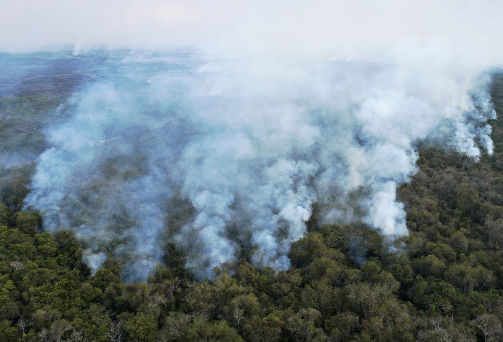 Foto mostra fumaça em meio a vegetação do Pantanal em Poconé, Mato Grosso, no dia 1º de agosto. — Foto: Rogério Florentino/AFP