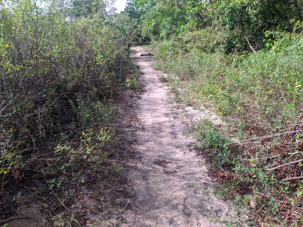 Marcas de sangue indicam que a vítima pode ter corrido ou foi arrastada por pequenos ramais dentro do terreno — Foto: Dominique Cavaleiro / g1