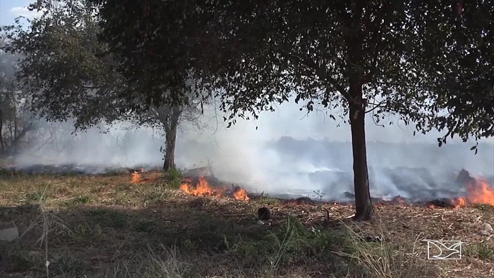MaranhÃ£o jÃ¡ registrou mais de 11 mil focos de incÃªndio em 2018 â€” Foto: ReproduÃ§Ã£o/TV Mirante