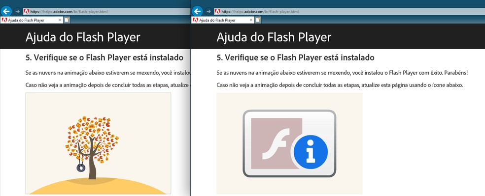 Página de verificação do Flash não mais exibe a animação correta, mesmo que o plug-in seja ativado no Internet Explorer — Foto: Reprodução