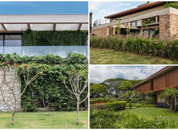 Jardins verticais, trepadeiras e maciços são ótimas opções de paisagismo para fachadas (Foto: Divulgação)