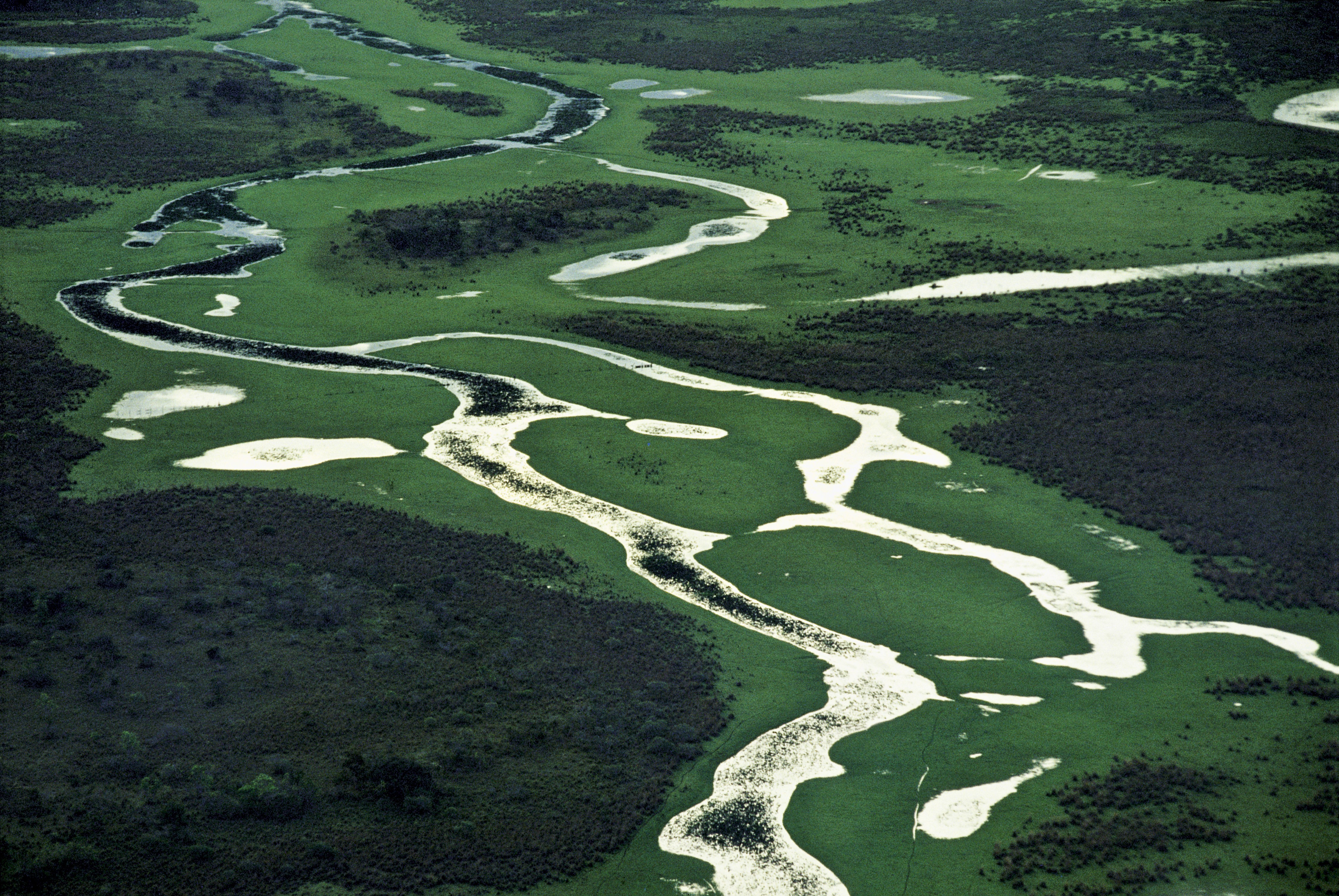 pantanal (Foto: Valdemir Cunha/Ed. Globo)