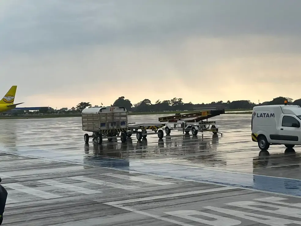 Lote com 15 mil doses da Pfizer Baby chegou a Campo Grande, na manhã desta sexta-feira  — Foto: TV Morena
