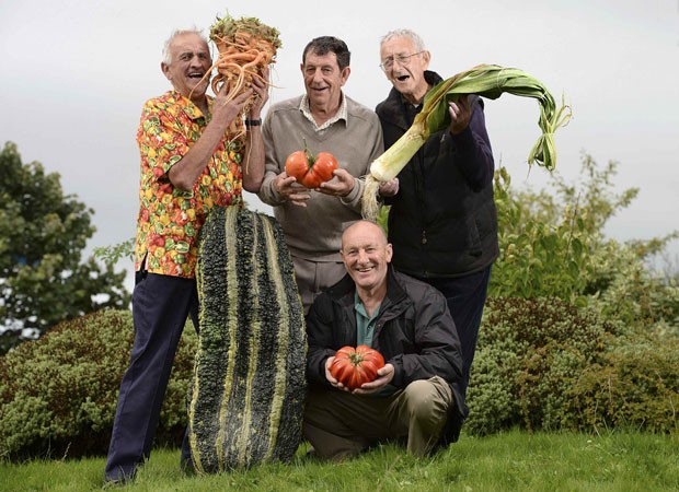 A partir da esquerda, Ian Neale com a abobrinha e cenoura gigantes; Graham Tranter, de  Bridgnorth, com tomate que ficou em quarto;, Joe Atherton, de Mansfield, que ganhou o primeiro lugar com seu tomate gigante;e  Graham Walford, de Bridgnorth, exibe alho-porro gigante (Foto: Nigel Roddis/Reuters)