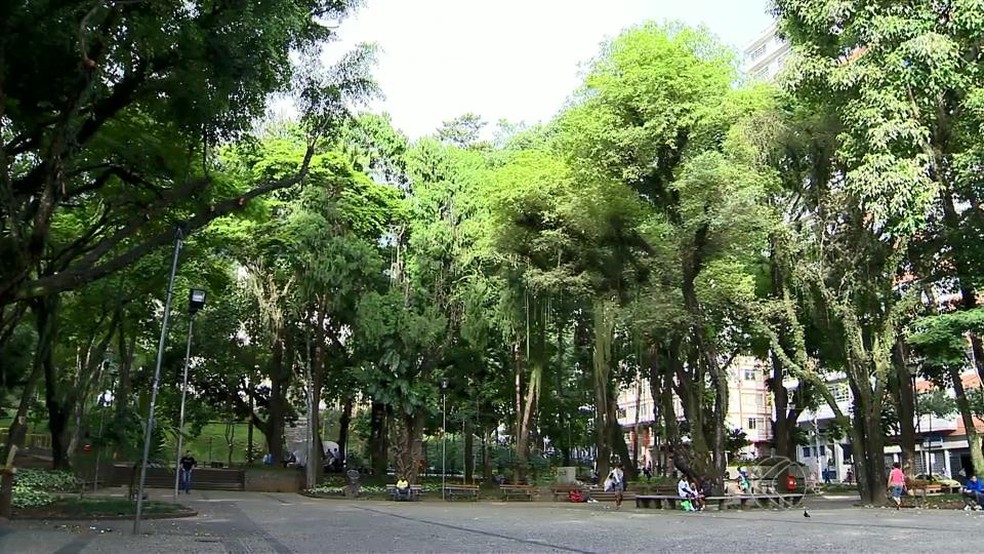 Parque Halfeld, em Juiz de Fora (Foto: Reprodução/TV Integração)