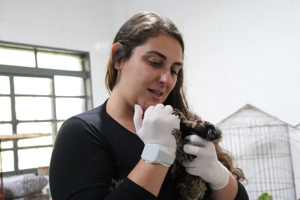 Érica Silva Pellosi atende animais resgatados que são encaminhados à Cidade da Criança — Foto: Stephanie Fonseca/g1
