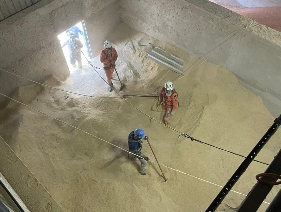 Trabalhador morre soterrado em silo com 400 toneladas de soja em fazenda no interior da Bahia — Foto: Reprodução/Redes Sociais