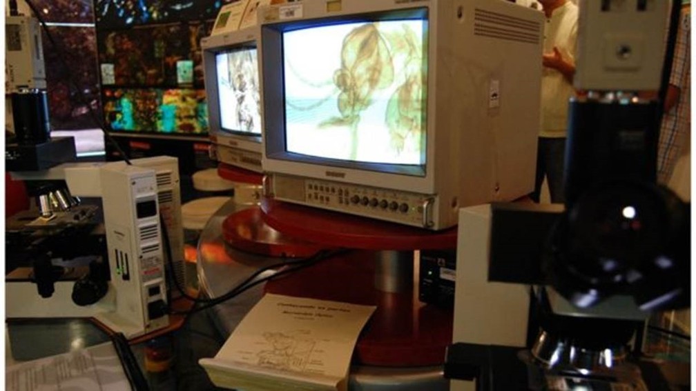 Em alguns hospitais, softwares de diagnóstico por imagem acabam sendo acionados por sistemas como Windows Vista ou XP, para os quais não há mais atualizações e, por isso, são mais vulneráveis a ataques cibernéticos (Foto: Vinícius Marinho/Fiocruz Imagens)