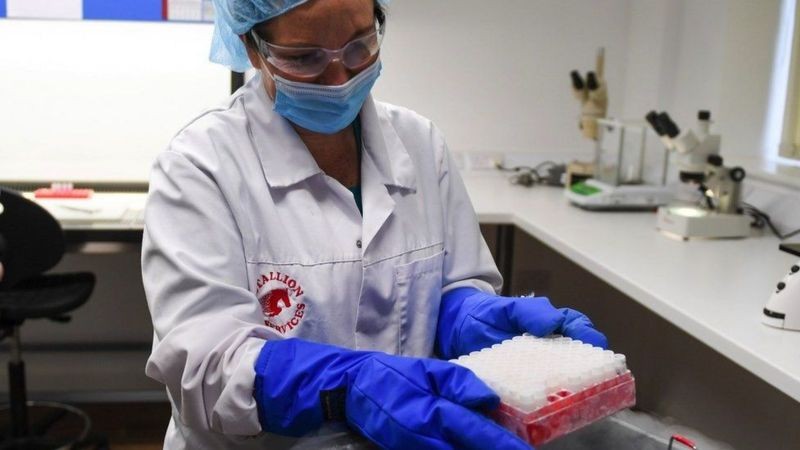 Amostras de tecido de animais são armazenadas congeladas em nitrogênio líquido (Foto: Nature's Safe via BBC News)
