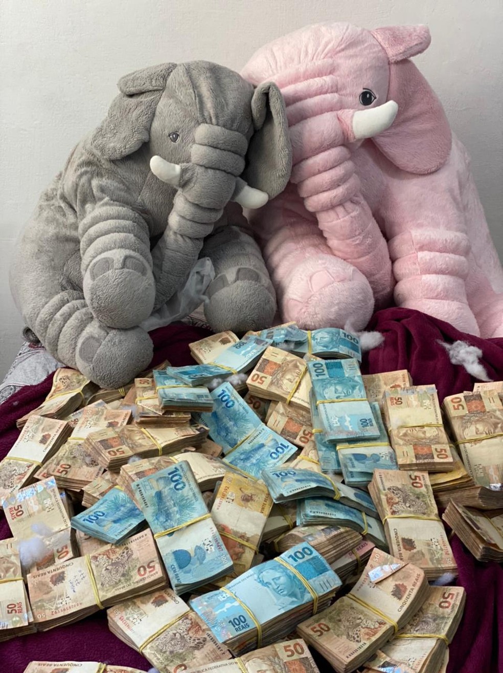 Uma grande quantia em dinheiro foi encontrada na casa de um dos investigados pela operação da Polícia Federal — Foto: Divulgação/Polícia Federal