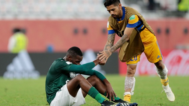 Palmeiras Tigres : Palmeiras Tigres 0 1 Resumen Del Partido Y Gol As Mexico - Browse now all palmeiras vs tigres uanl betting odds and join smartbets and customize your account to get the most out of it.