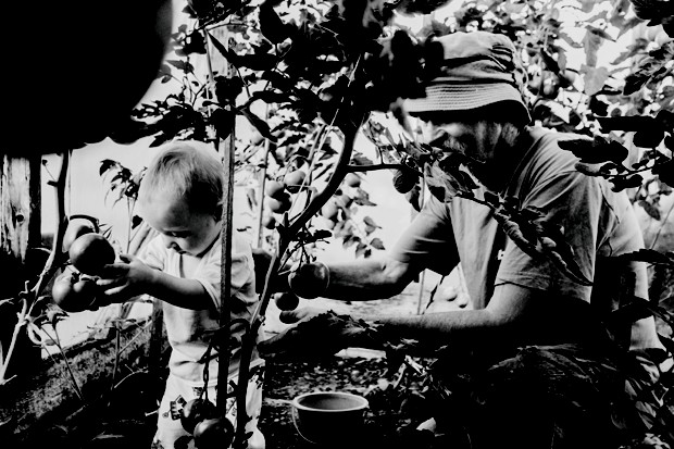 Bernard ensina as crianças a cuidar e colher frutas da horta particular da família (Foto: Alina Kamińska)
