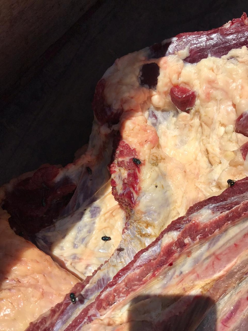 Carne oferecia risco de contaminação e tinha fezes e moscas — Foto: Divulgação