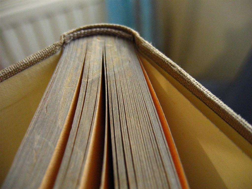 Parece O Nome da Rosa, mas não é: livros de biblioteca dinamarquesa possuem arsênio em suas capas (Foto: Flickr/Purple Heather)