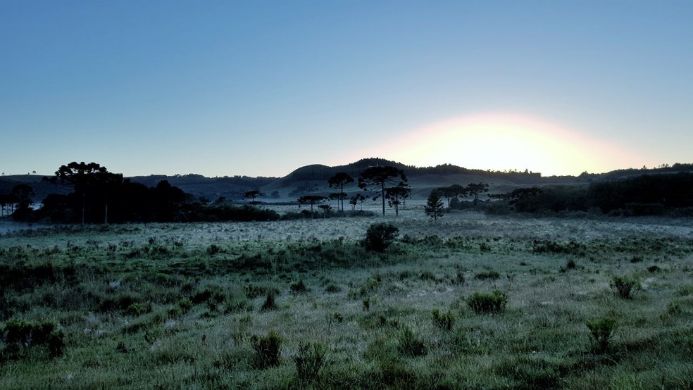 Amanhecer foi com pastos 'brancos' em São Joaquim (Foto: Mycchel Hudsonn Legnaghi/São Joaquim Online)