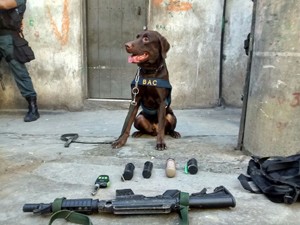 Batalhão de cães atuou na operação na Rocinha nesta quarta-feira (17) (Foto: Divulgação/Batalhão de Atuação com Cães da Polícia Militar)