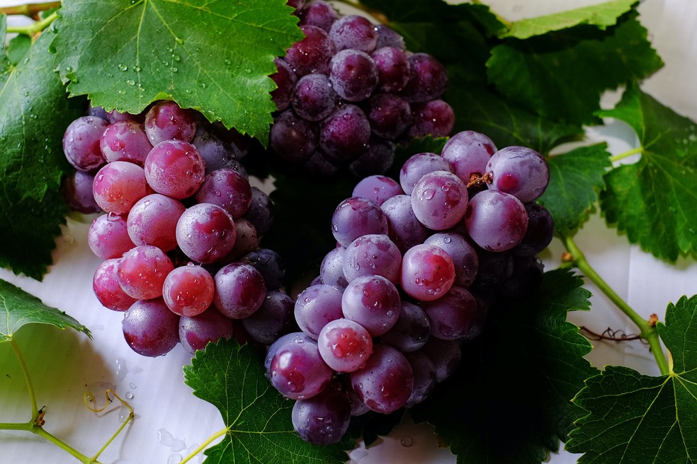 A uva roxa pode ser incluída de duas maneiras na alimentação: na forma natural, e na forma de vinho. — Foto: Pexels