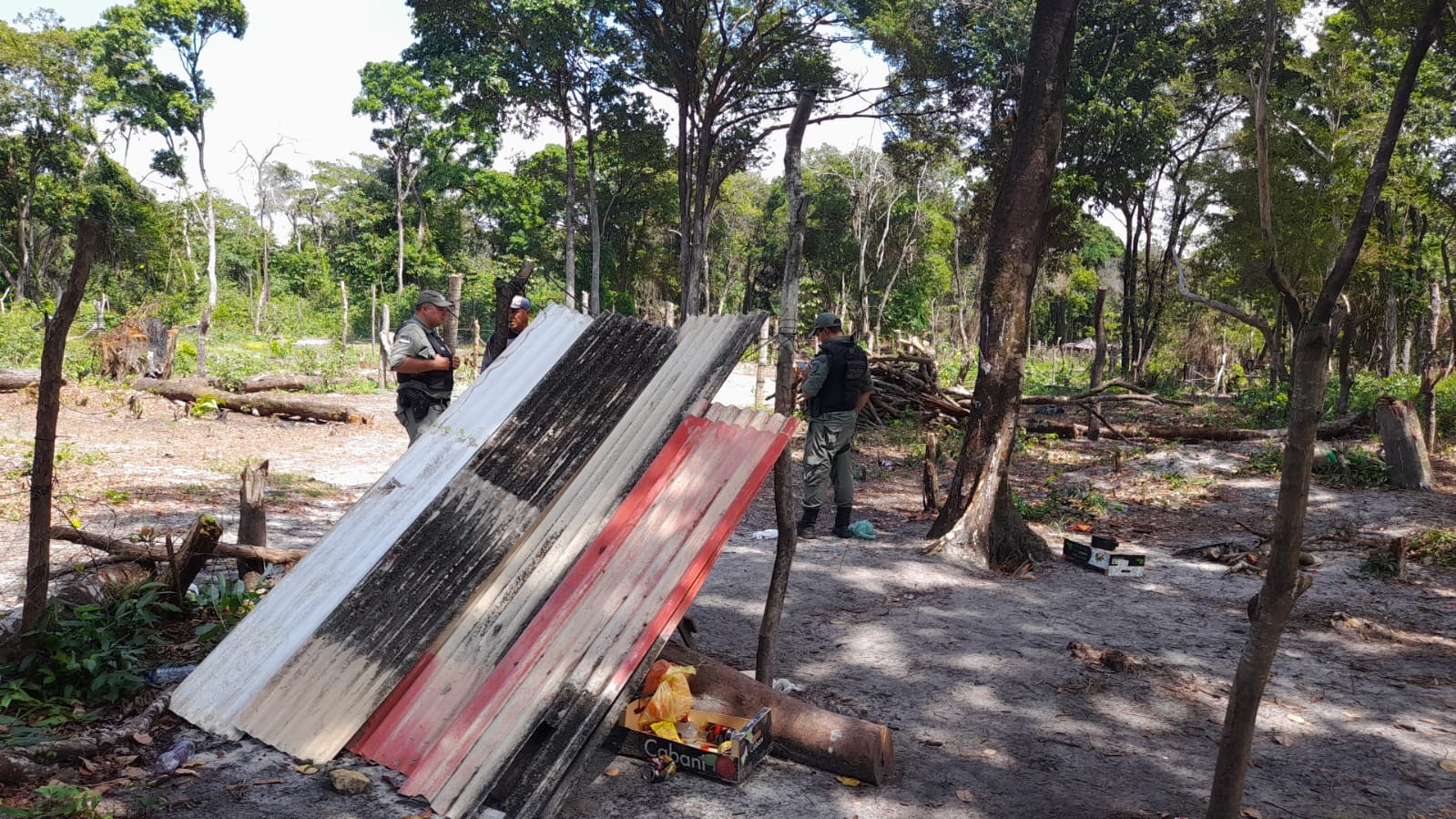 Quatro homens são detidos por invadir e desmatar reserva de floresta urbana em Paulista, no Grande Recife