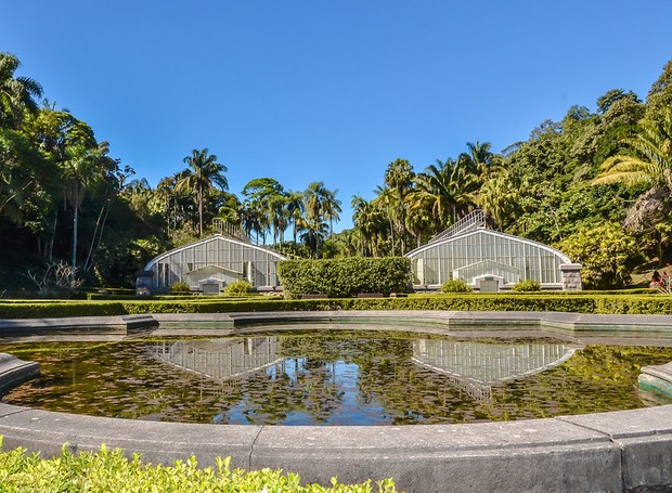 O Jardim Botânico de São Paulo foi fundado em 1928 e conta com conta com 143 hectares (Foto: Flickr / Flávio Jota de Paula / CreativeCommons)
