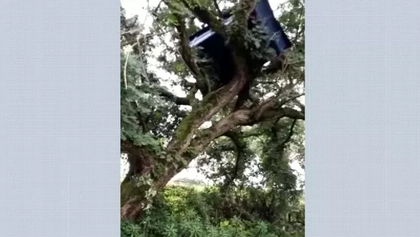 Piscina Voa Durante Temporal E Vai Parar Em Cima De Arvore Em Brodowski Sp Ribeirao Preto E Franca G1