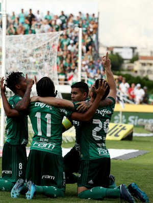 Flavio Canuto  Blog do Torcedor do Palmeiras