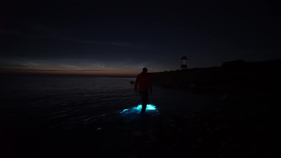 Homem andando sobre a água e destacando plânctons bioluminescentes — Foto: BBC