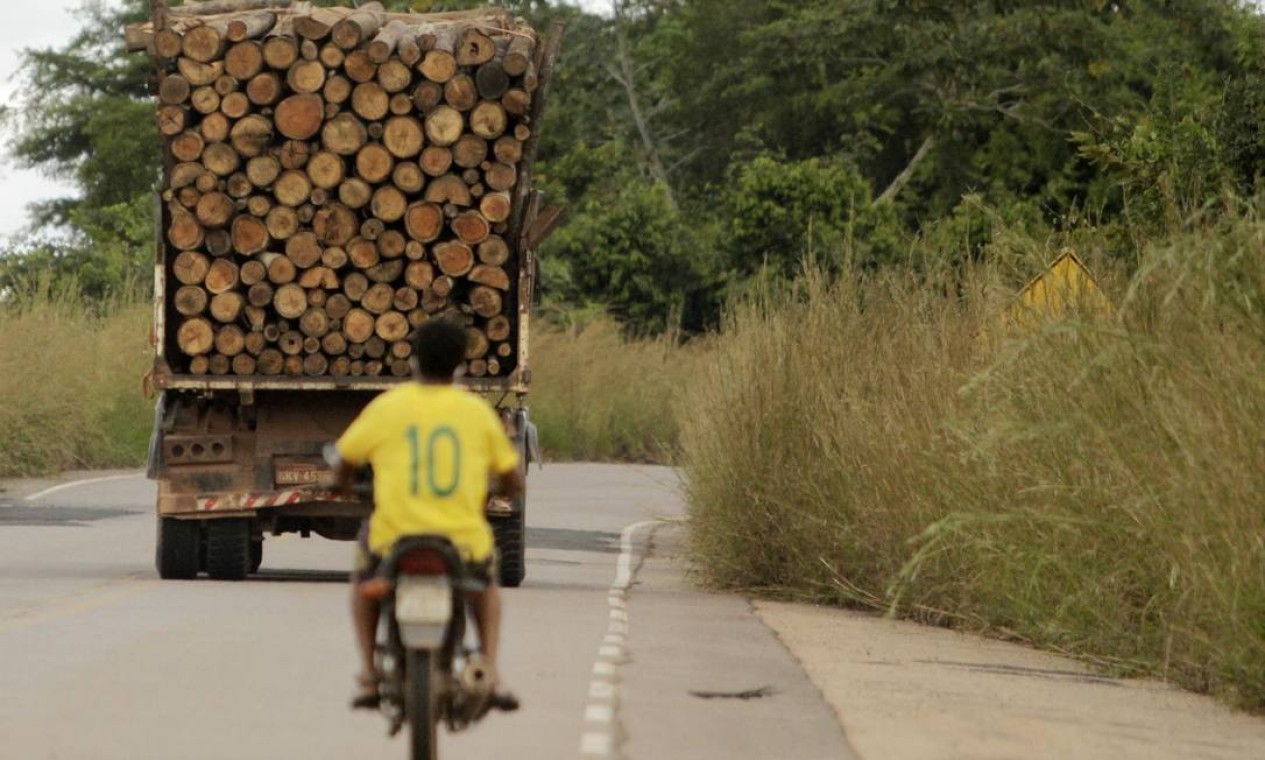 O Pará é o estado que mais desmata, sendo responsável por 60% de todo desmatamento segundo o INPE. As madeireiras, serrarias ilegais e o transporte de toras no horário do início da noite continuam sem a menor fiscalização — Foto: Raimundo Paccó / Agência O Globo