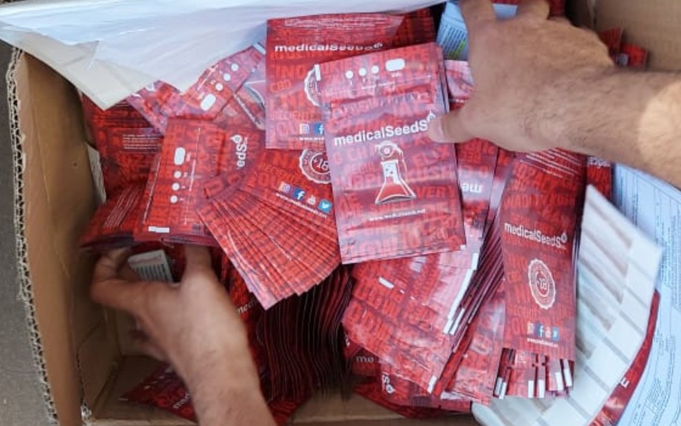 Sementes de maconha que eram vendidas por espanhol pela internet são apreendidas, em Anápolis, Goiás — Foto: Divulgação/Polícia Civil