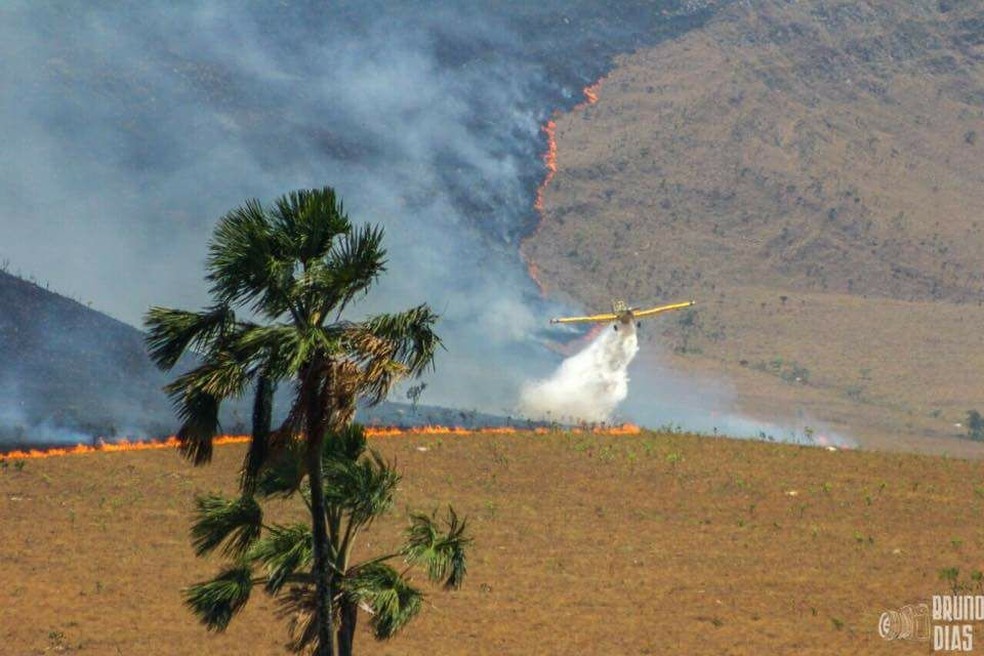 Avião tenta combater incêndio na Chapada dos Veadeiros  (Foto: Divulgação )