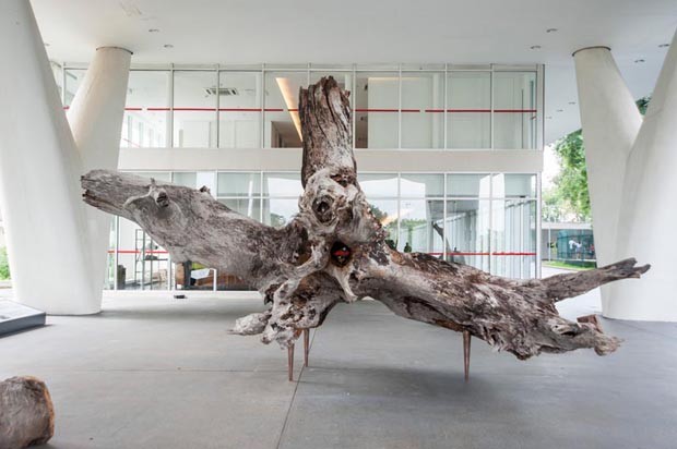 Hugo França cria obra de arte com tronco de quatro toneladas (Foto: Divulgação)