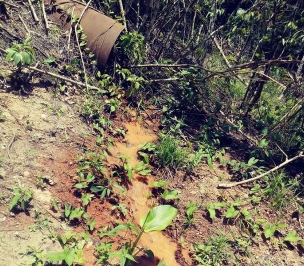 Contaminação da Hydro (Foto: Divulgação)