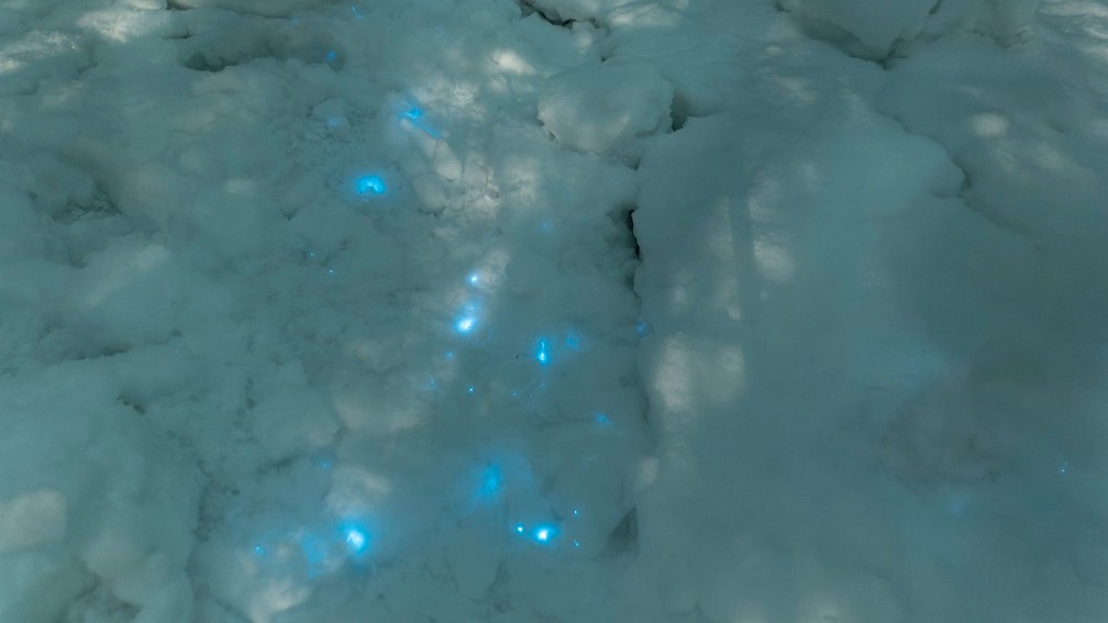 Pontos de luz na neve encontrada no Ártico — Foto: Reprodução/Facebook/Alexander Semenov