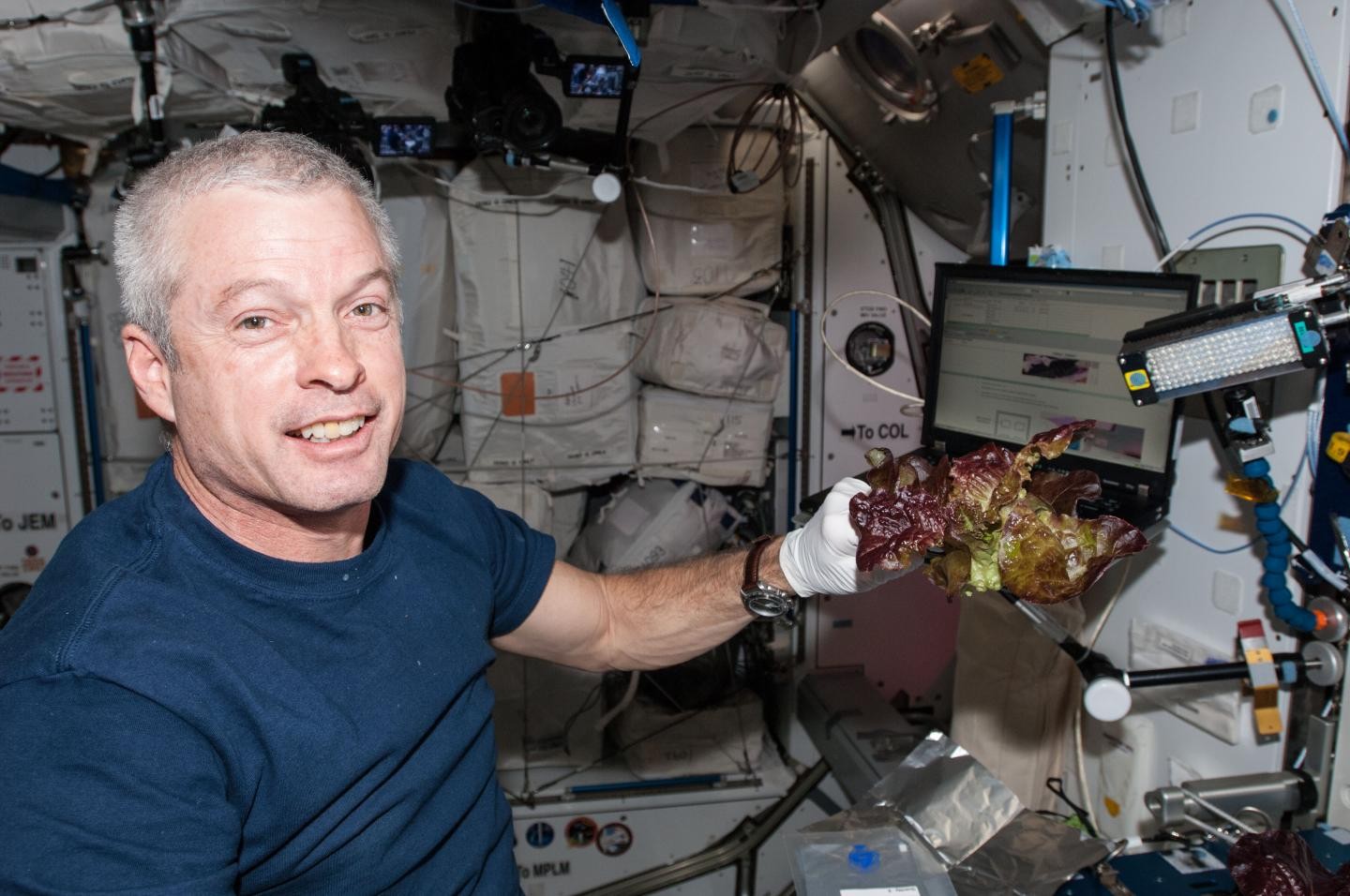 Alface cultivada no Espaço é tão nutritiva quanto a da Terra. O astronauta Steve Swanson em 2014. (Foto: NASA)
