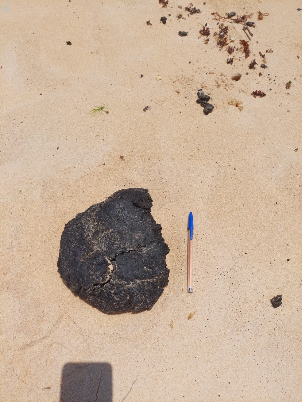 Manchas de óleo voltam a aparecer em Natal