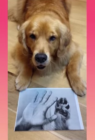 Mion fez uma xerox de sua mão e da pata da cadela Pankeka, a primeira da casa, para celebrar o amor ao pet (Foto: @marcosmion/ Instagram/ Reprodução)