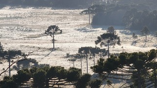 Geada no Vale do Caminhos da Neve  — Foto:  Mycchel Legnaghi / @saojoaquimonline.com.br