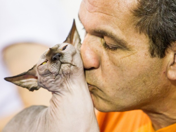Fotos: Evento reúne 360 gatos de 23 raças diferentes em São Paulo -  25/08/2014 - UOL Notícias
