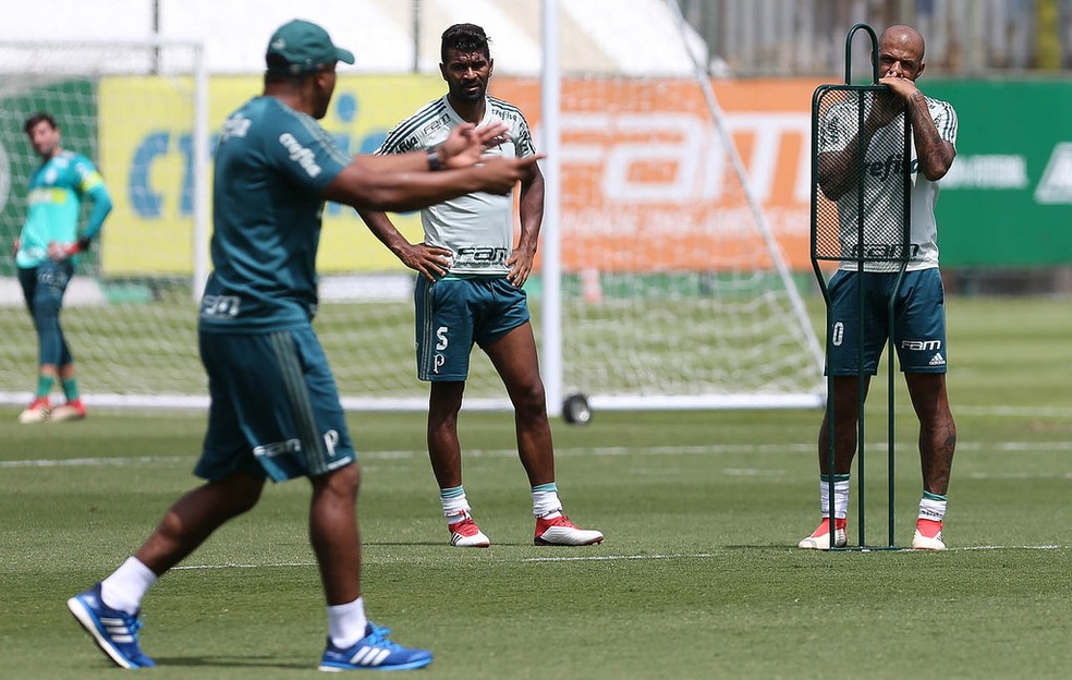 Roger Machado durante treinamento do Palmeiras na Academia (Foto: Cesar Greco/Ag. Palmeiras/Divulgação)