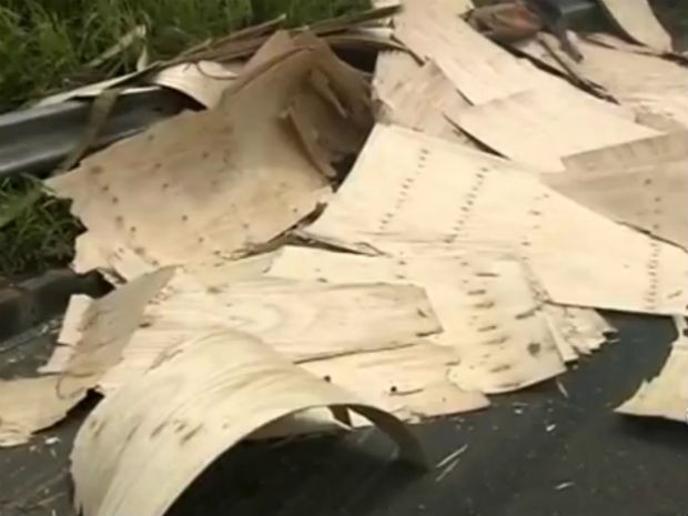 Parte da carga de madeira ficou espalhada pela pista (Foto: Reprodução/TV TEM)