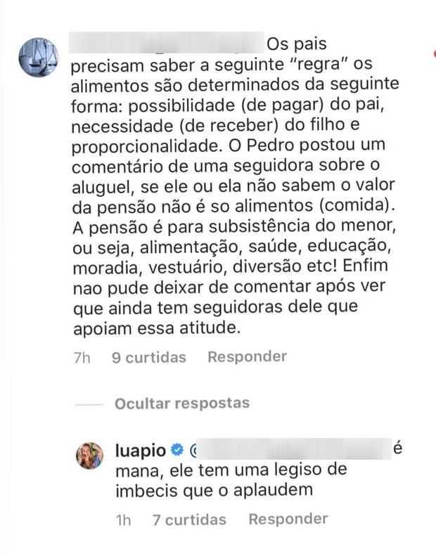 Comentário de Luana Piovani (Foto: Reprodução/Instagram)