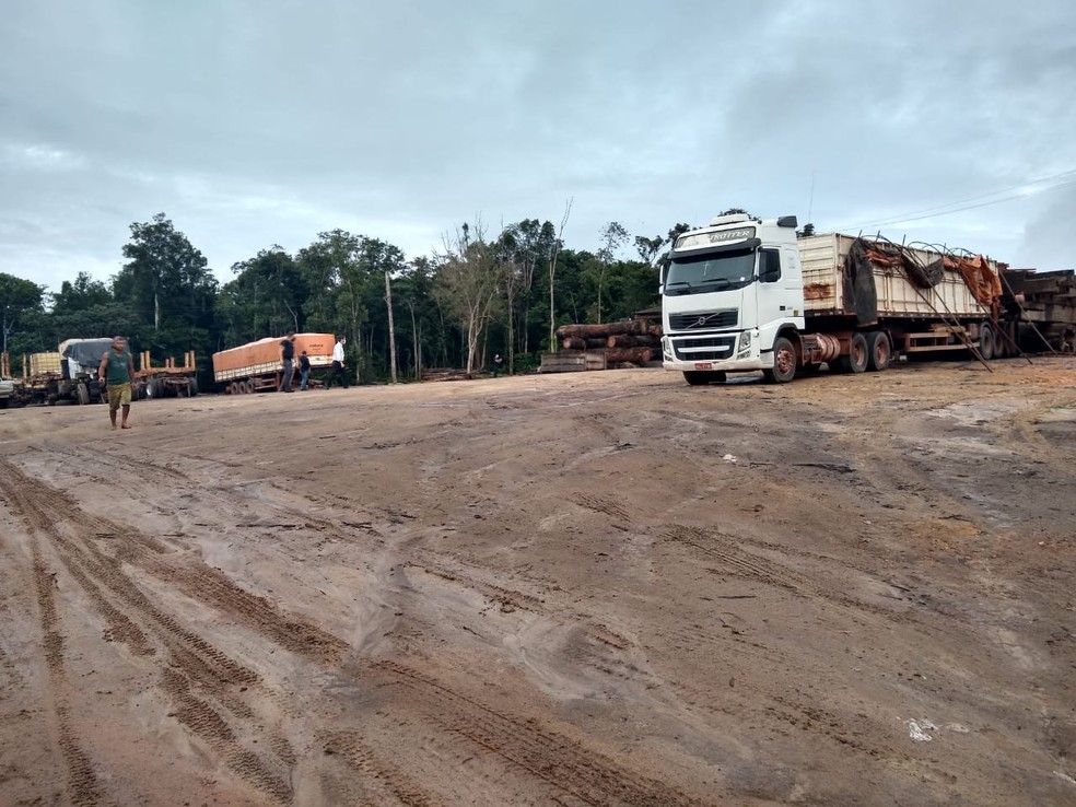 Flagrante aconteceu em serraria no município de Pedra Branca do Amapari — Foto: PF/Divulgação