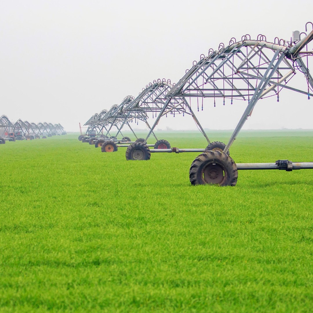 Automatização de pivôs agrícolas aumenta a produtividade e economia na irrigação