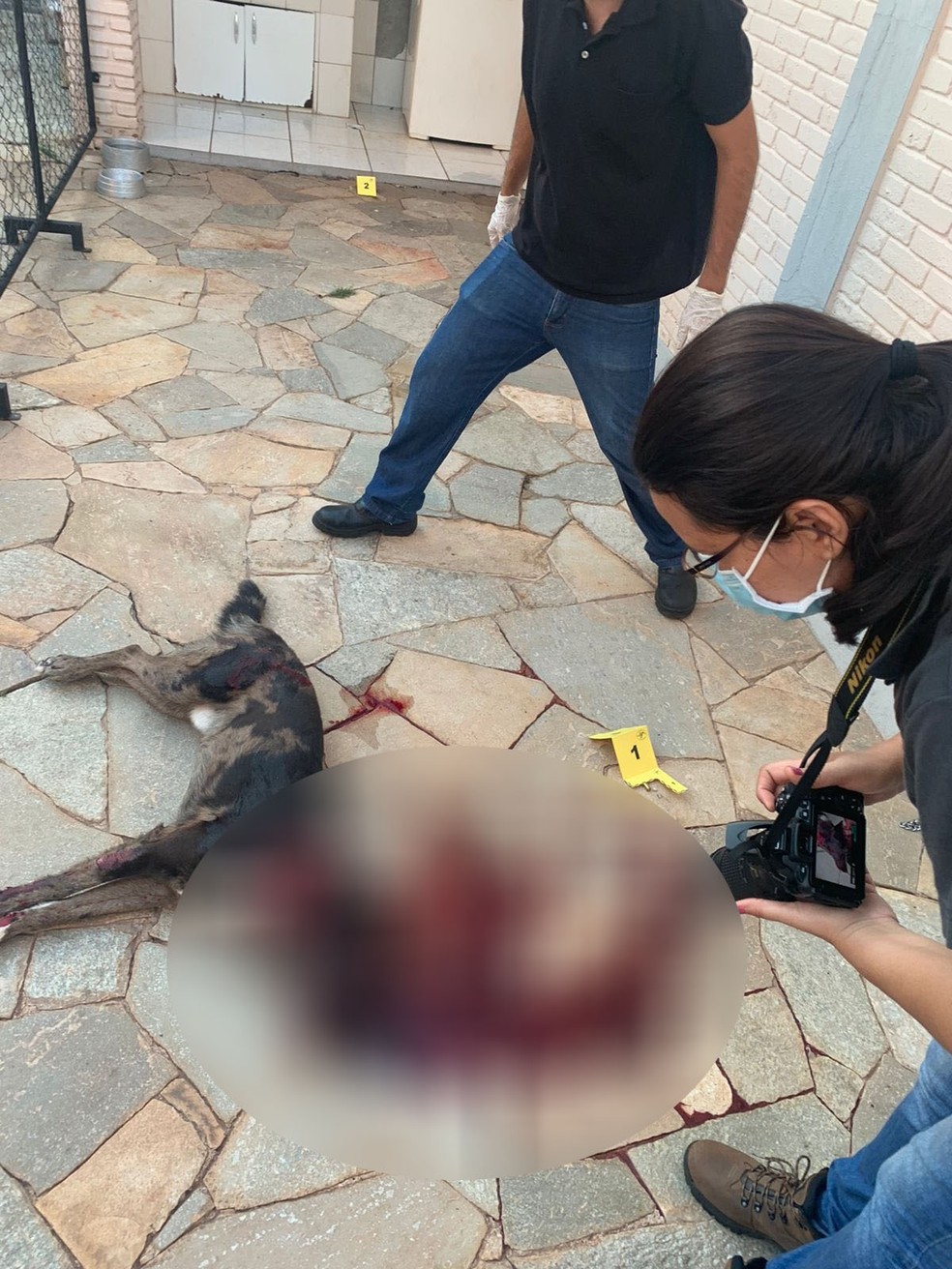 Justiça absolveu engenheiro acusado de matar o próprio cão a tiro — Foto: Polícia Militar Ambiental