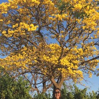 Por que visitar o interior de São Paulo?