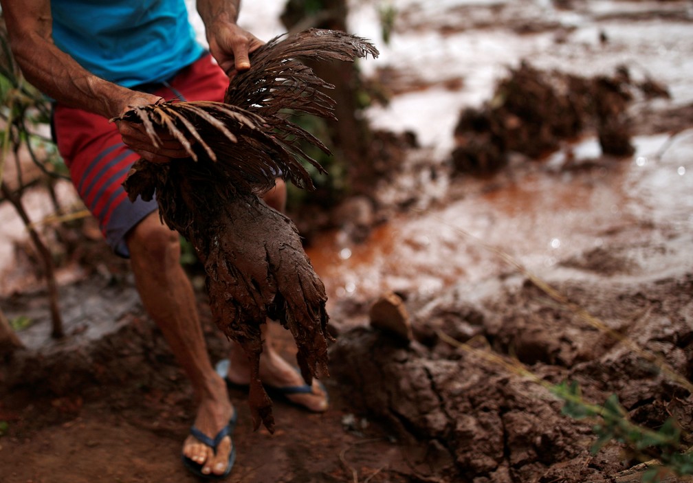 Galinha é retirada da lama depois do rompimento da barragem da Vale em Brumadinho. — Foto: Adriano Machado/Reuters