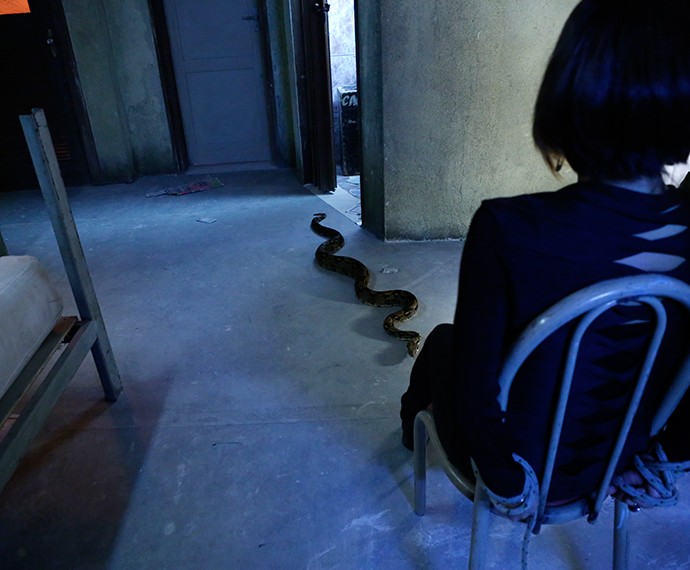 Cobra rasteja aos pés da dublê de Gloria Pires (Foto: Ellen Soares/Gshow)