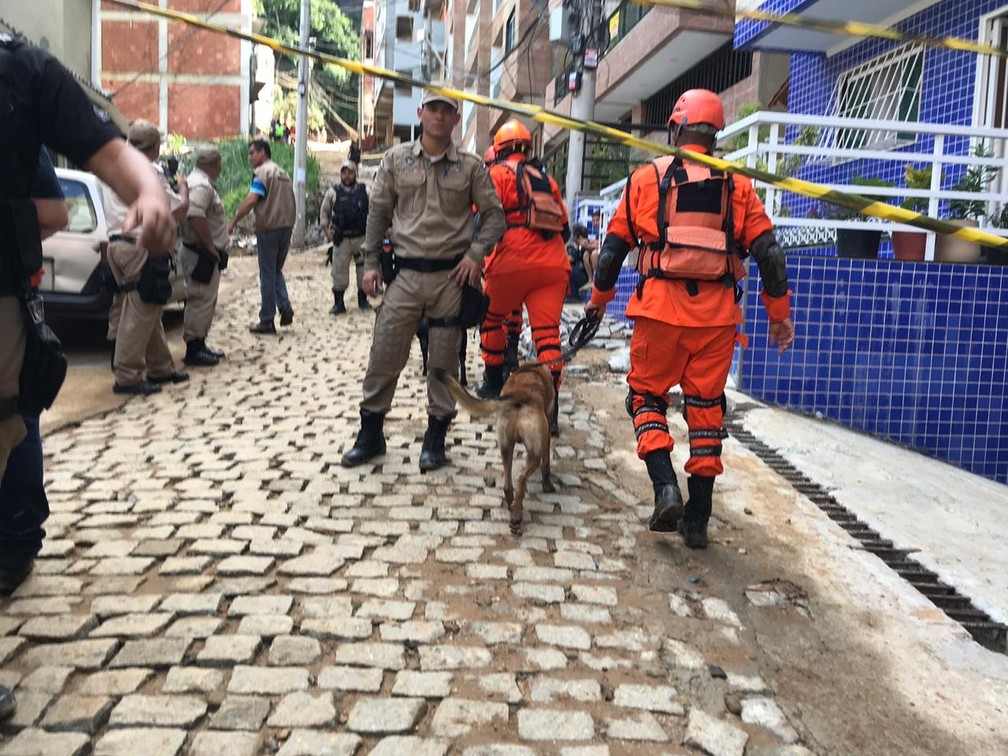 Bombeiros usam cães no resgate às vítimas de desabamento — Foto: Raísa Pires/G1